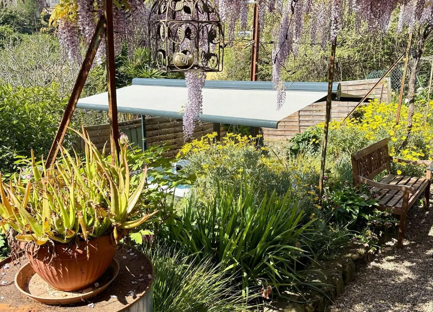 Havre De Paix Avec Jacuzzi Et Jardin A Pied Du Centre-Ville 0*, Vence