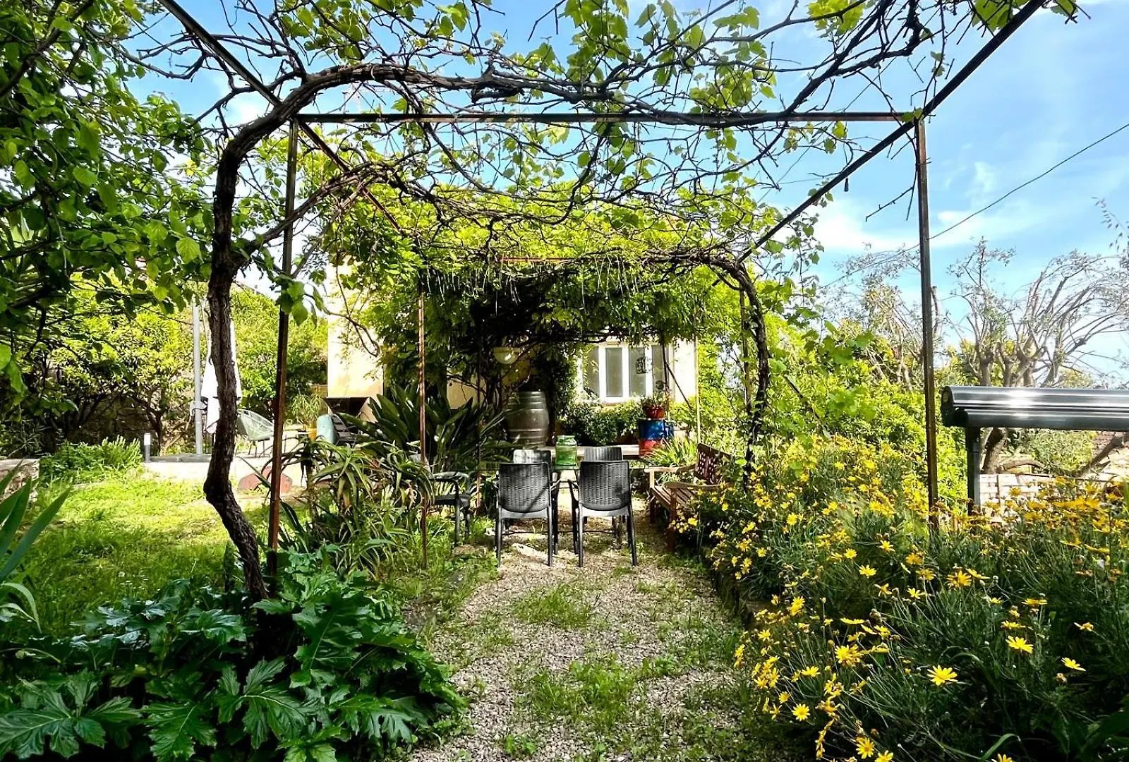 Havre De Paix Avec Jacuzzi Et Jardin A Pied Du Centre-Ville